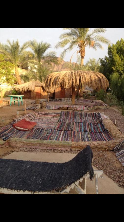 Hotel Elbadawy Camp à Nuweiba` Extérieur photo